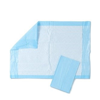 Protection Plus Underpad, Light Absorbency, 17" x 24", Blue, Quilted, Inner Packs of 25/Bag